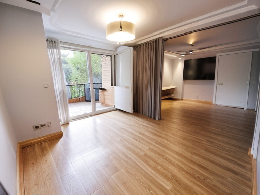 ipadapter-lineart__s0.5_l0.5